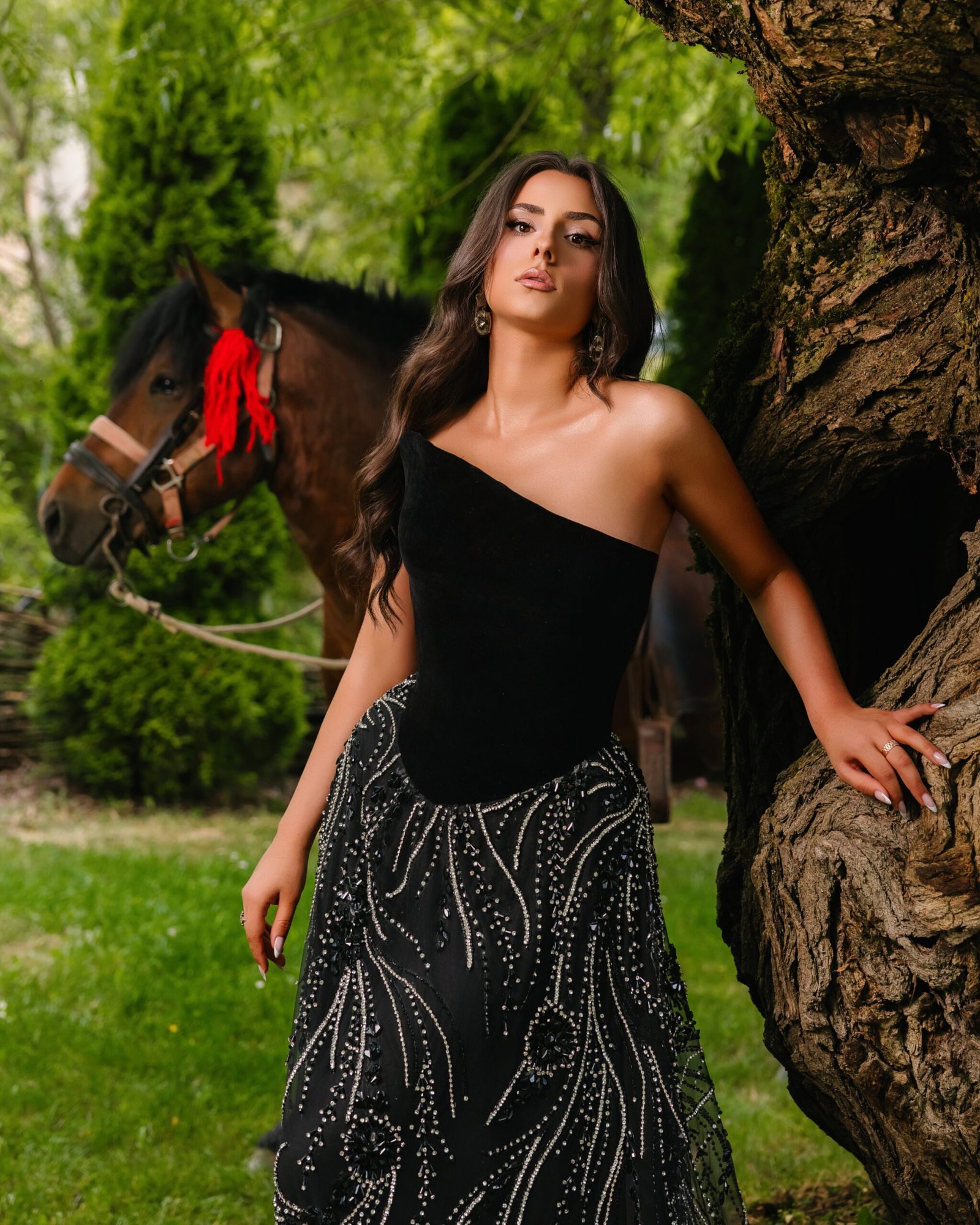 Stallion - Image 3
