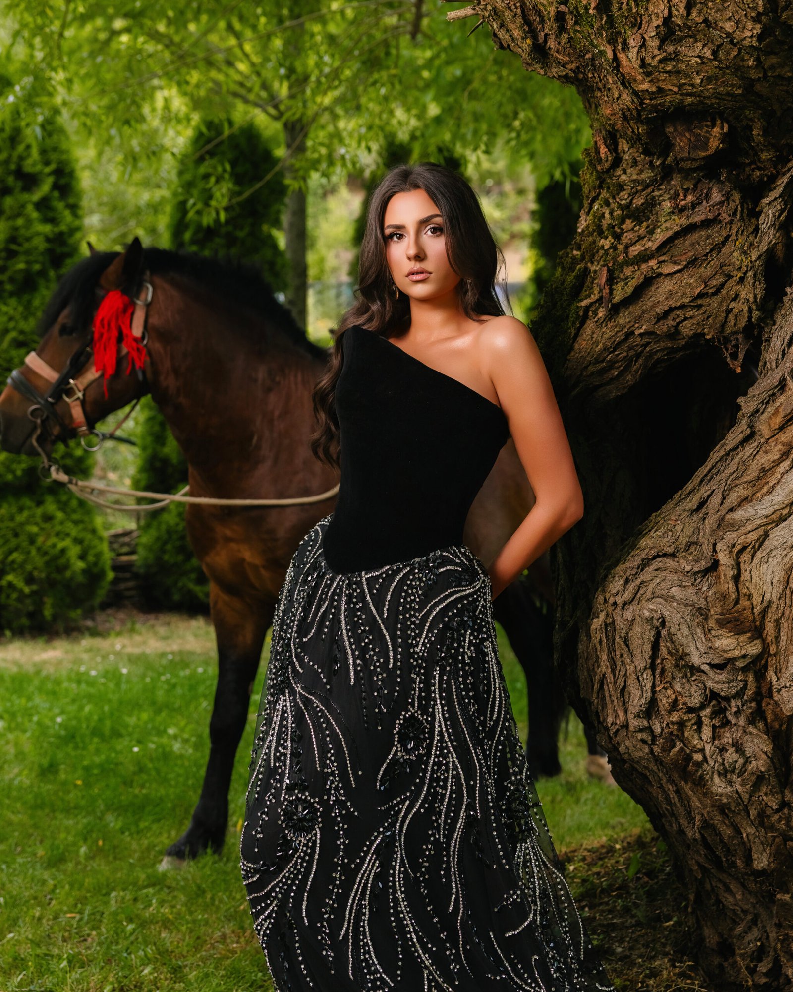 Stallion - Image 4