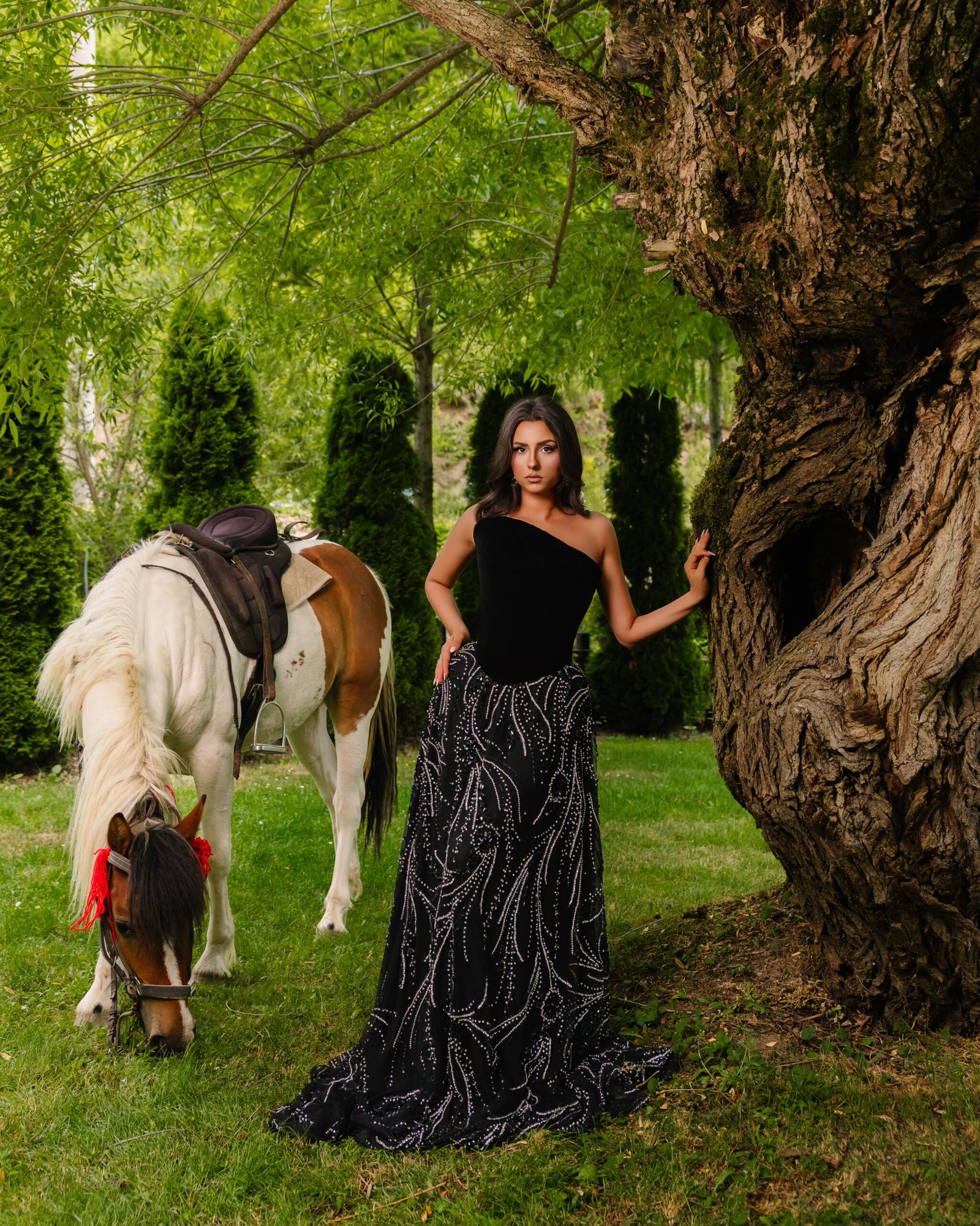Stallion